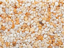 Steinteppich Giallo Siena