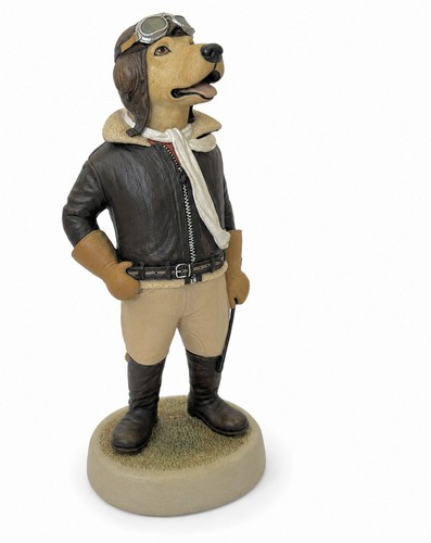Labrador hund flieger - hund, gelb