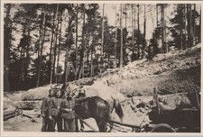 Foto Arbeitsdienst 6/371