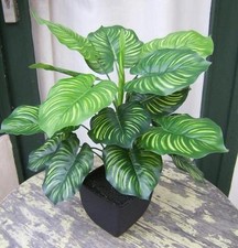 Künstliche calathea pflanze - künstliche,