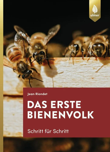 Das erste bienenvolk - erste,