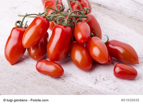 Tomate san marzano - tomate,