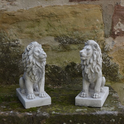 Löwe 2er set steinfigur - 2er-set, h.34