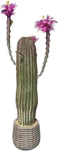 Kaktus kunstpflanze - kaktus,