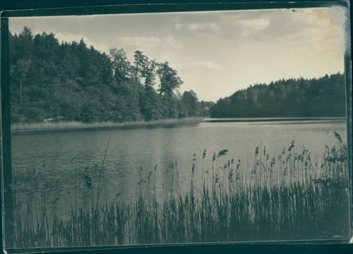 Foto barlinek berlinchen - foto,