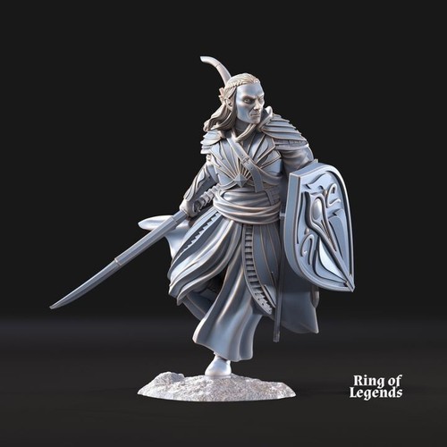 Captain galanthir elves - captain,