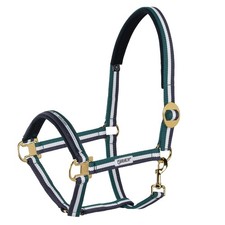 Eskadron Racinggreen-White-Nightblue P2 Halfter Schiebeschnalle Basics