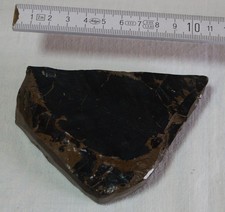 Blatt - Quartär - Pleistozän - rhein. Braunkohlerevier - Tagebau Freche