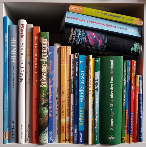 28x haustiere bücher hunde - bücher,