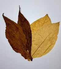 Virginia/ Burley MIX 50/50