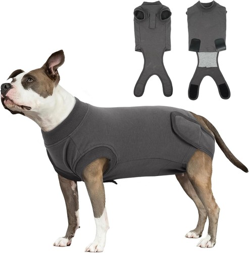 Hund kastrationsanzug - hund,