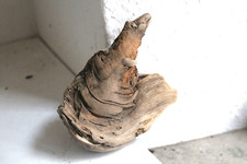 Schwemmholz Treibholz Skulptur L  13cm Treibgut Lampe Schiff Boot