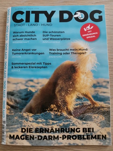City dog juli august - city, 2021