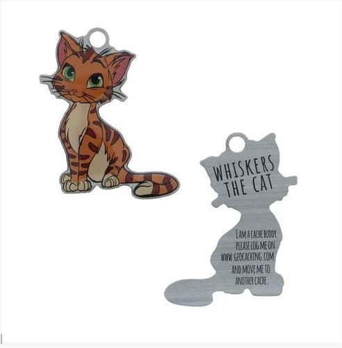 Kitten traveltag katze - kitten,