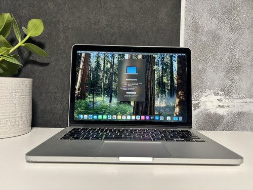 Apple macbook pro - apple, 13