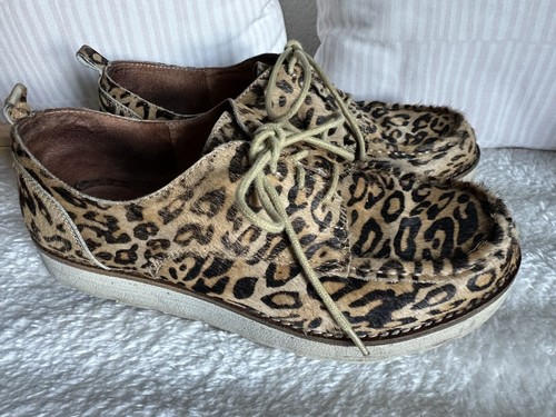 Buffalo leo fell - ♥️,