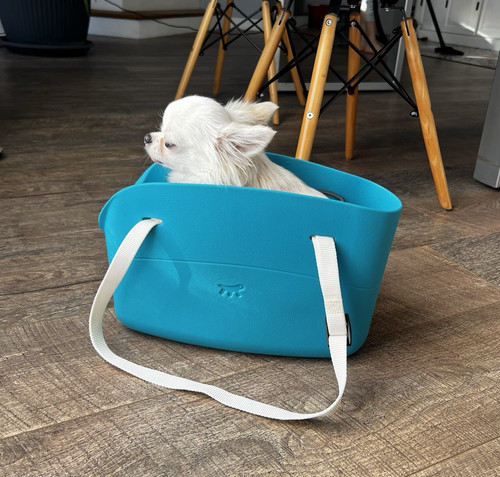 Ferplast with small dog - ferplast, with-me