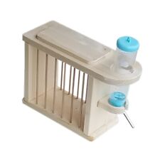 Heuraufe Meerschweinchen