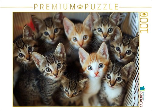 Calvendo puzzle kätzchen - puzzle,