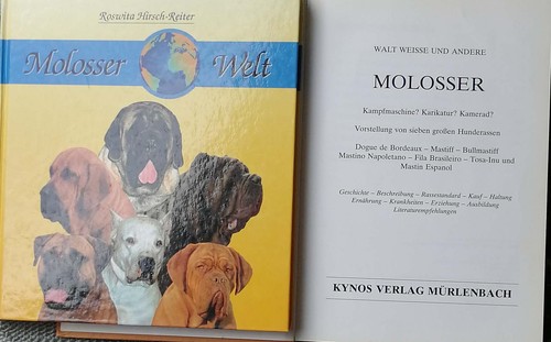 Molosser welt vorstellung - -,