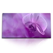 120x80cm Kunstdruck Bilder