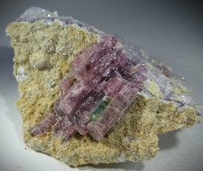 mehrfarbiger Turmalin aus Morro Redondo,  Brasilien