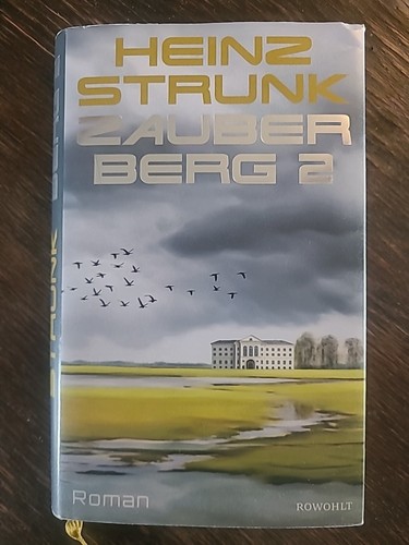 Zauberberg roman von - "zauberberg, heinz