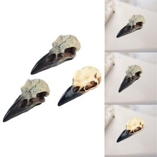 Halloween Rabenschädel-Dekor