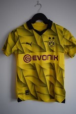 Borussia Dortmund 2023 2024