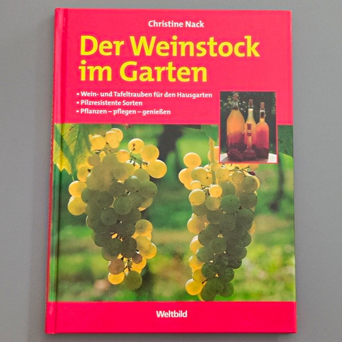 Weltbild der weinstock - weinstock, im