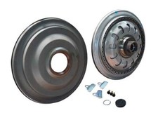 Ford Powershift Kupplung