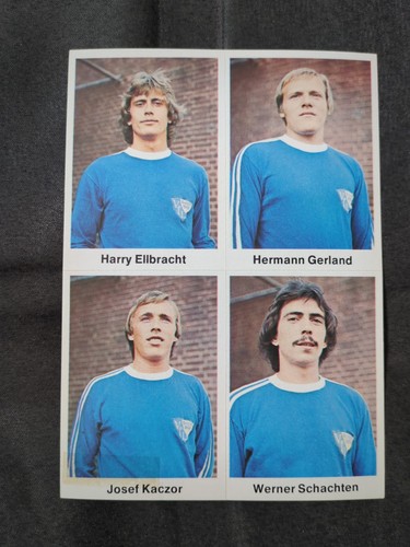 Bergmann vfl bochum - ,