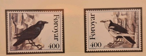 Färöer 1995 kolkrabe mi - färöer, kolkrabe,