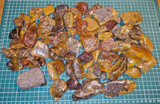 Bernstein Konvolut 1013 Gramm SBM Königsberg Baltic Amber Trommelsteine