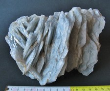 Top-Museumsstufe : blaue