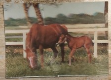 3D Ansichtskarte Postkarte