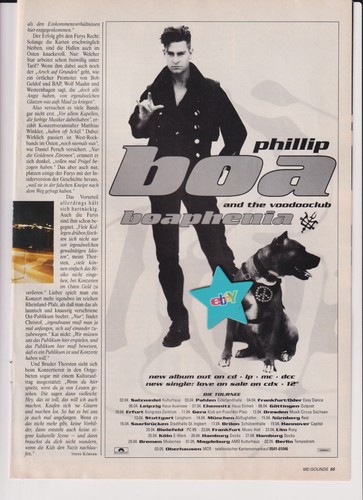 Phillip boa boaphenia - boa,