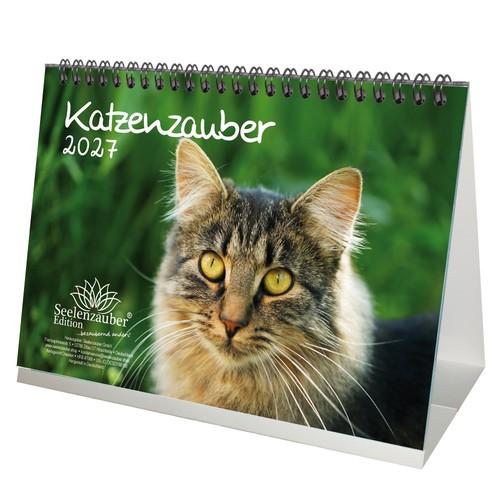 Katzenzauber din - din, a5
