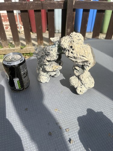 Maskottchen haustiere große - maskottchen,
