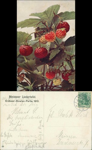 Meißen erdbeere meissner - -,