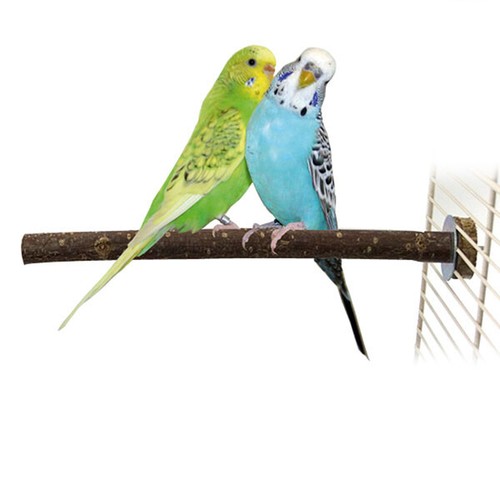 Sitzstange für vögel - sitzstange,