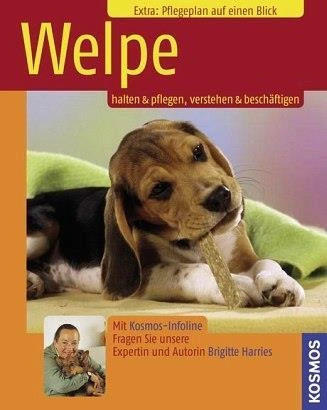 Kosmos welpen erziehung - welpen,