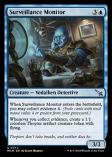 Surveillance Monitor (073)