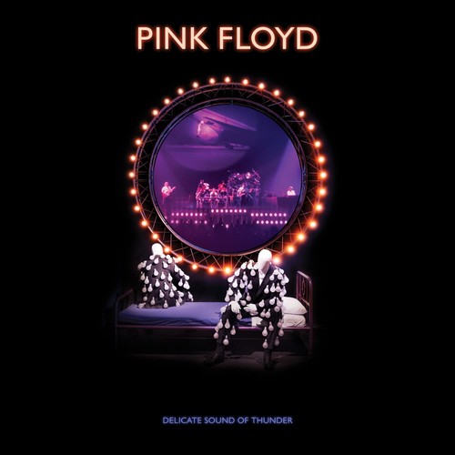Pink floyd delicate - pink, floyd: