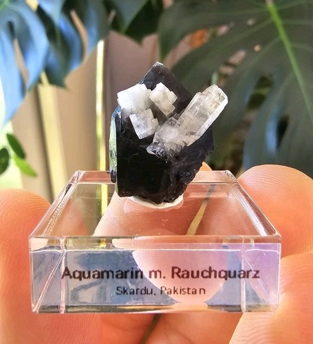 Aquamarin mit rauchquarz stufe - aquamarin,