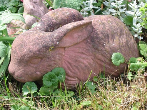 Hase kaninchen tier skulptur - kaninchen,