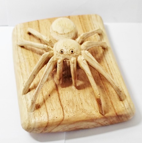 Schöne tarantel spinne - schöne,
