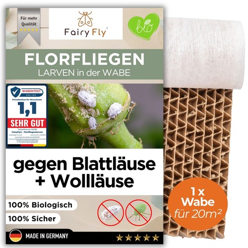 Florfliegenlarven gegen