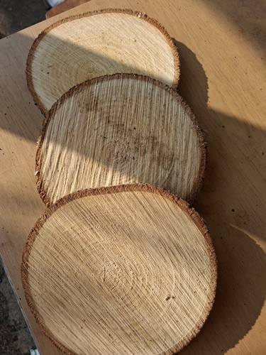 Baumscheiben linde stück - 3,