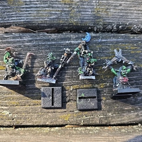 Nachtgoblin boss schamane - boss, +